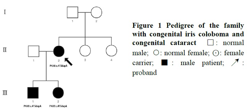 A novel mutation in PAX6 gene causing congenital iris coloboma with congenital cataract in a pedigree